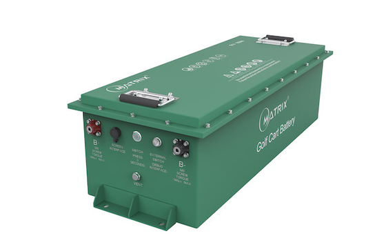 ゴルフ カートのための金属の箱48Vのリチウム充電電池LiFePO4電池
